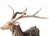 Product image 2 of the product “Standing Deer, the horns can be removed. About 120cm length and 140cm height . ”